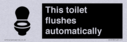 this-toilet-flushes-automatically~